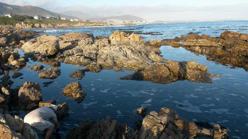 Strandloper Apartments Hermanus Buitenkant foto